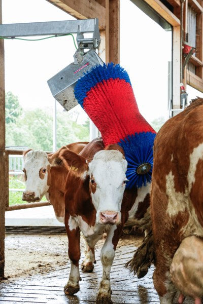 Brosse à vache Happycow maxiswing