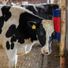 Brosse à vaches semi-circulaire brosse à bovins bleu-rouge xl