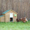 Ensemble porte poulet automatique 30x40cm