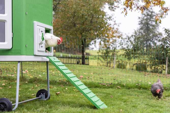 Poulailler en plastique Mobilecoop