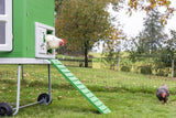 Poulailler en plastique Mobilecoop - afbeelding 7