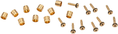Kit de flexibles de frein Trp, jeu de broches à olive 5,5 mm, 10 pcs.