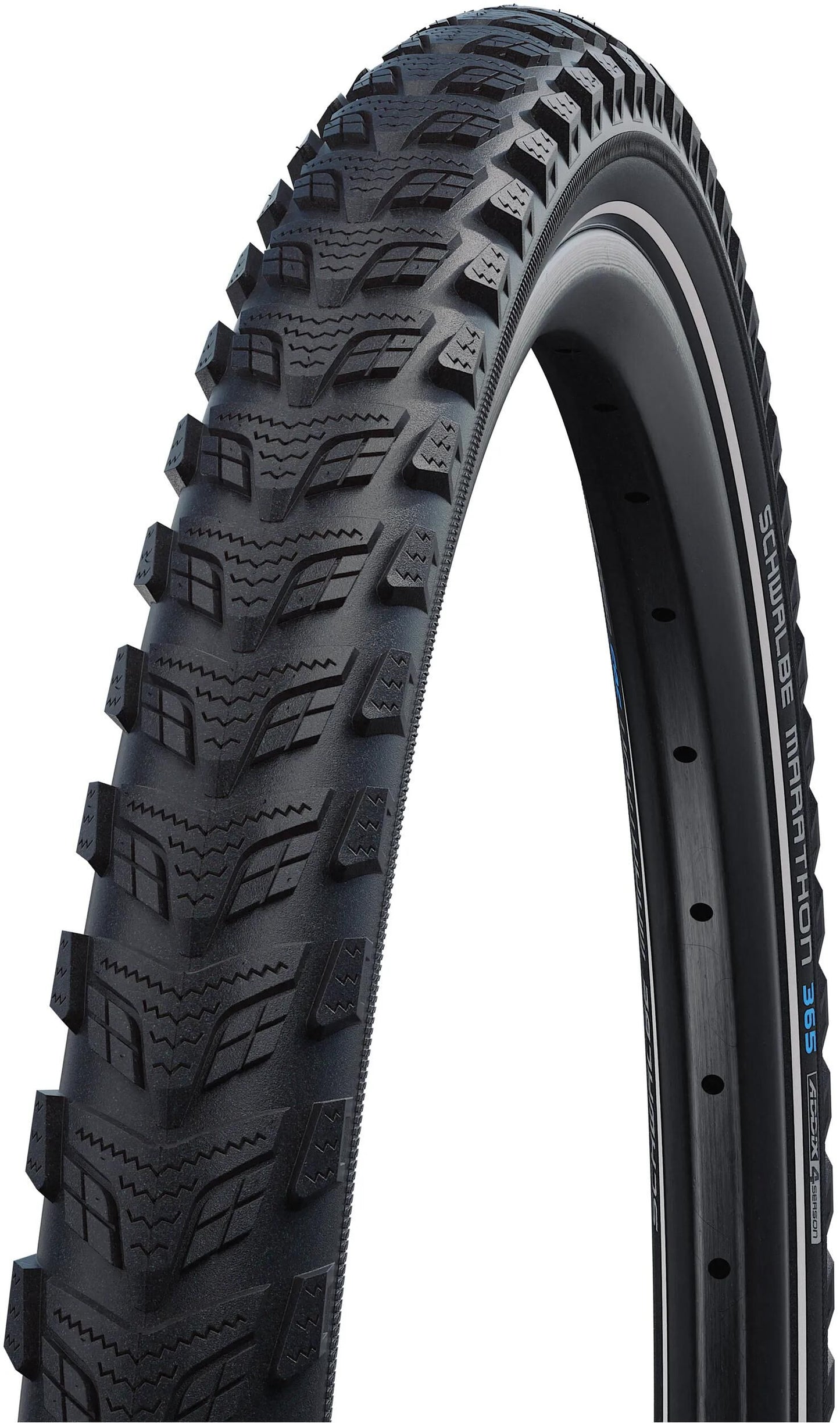 Schwalbe