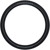 Schwalbe