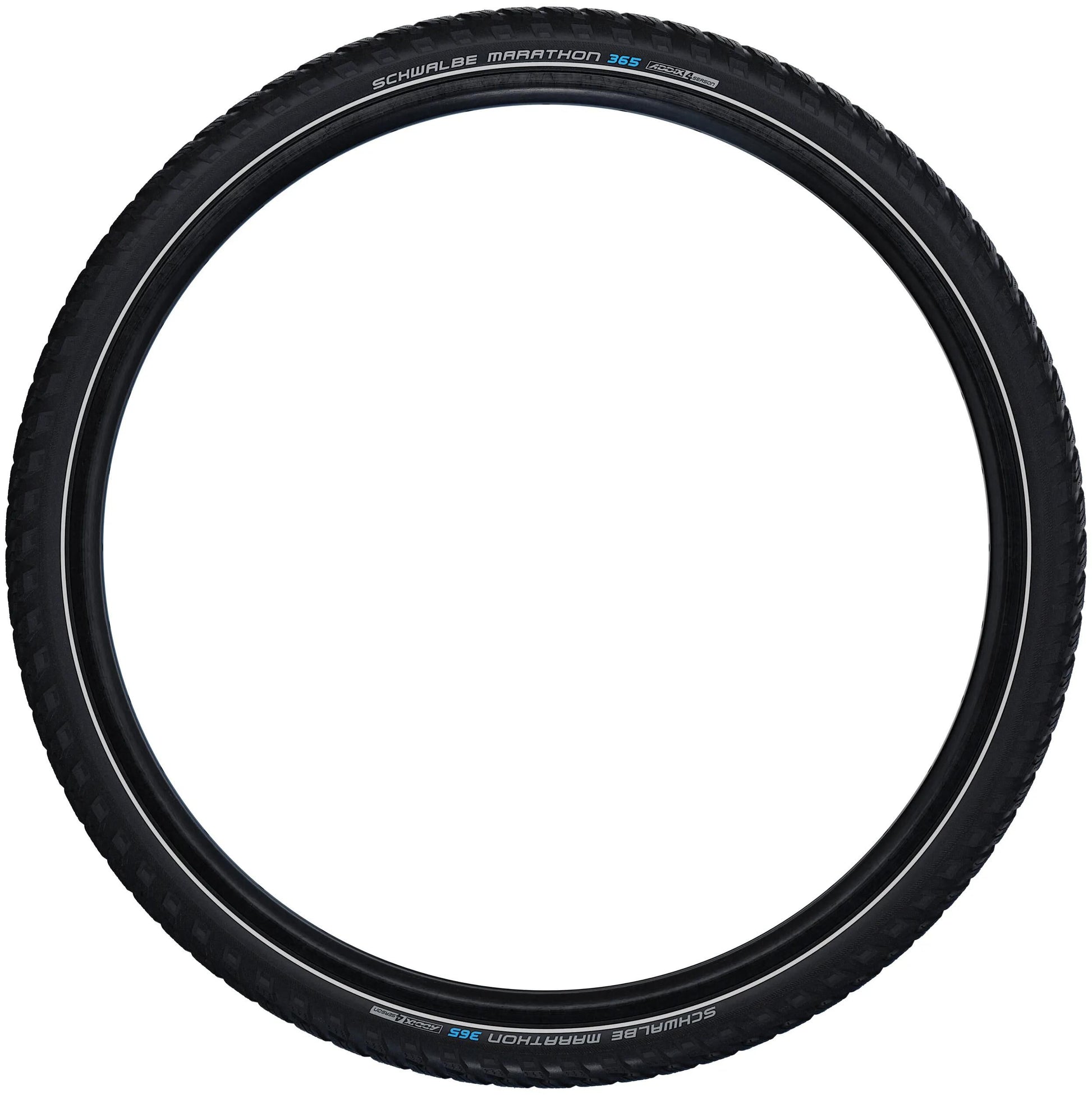 Schwalbe