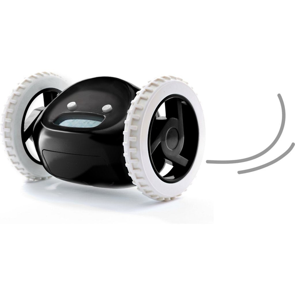 Clorat d'alarme CL-Black Clocky noir