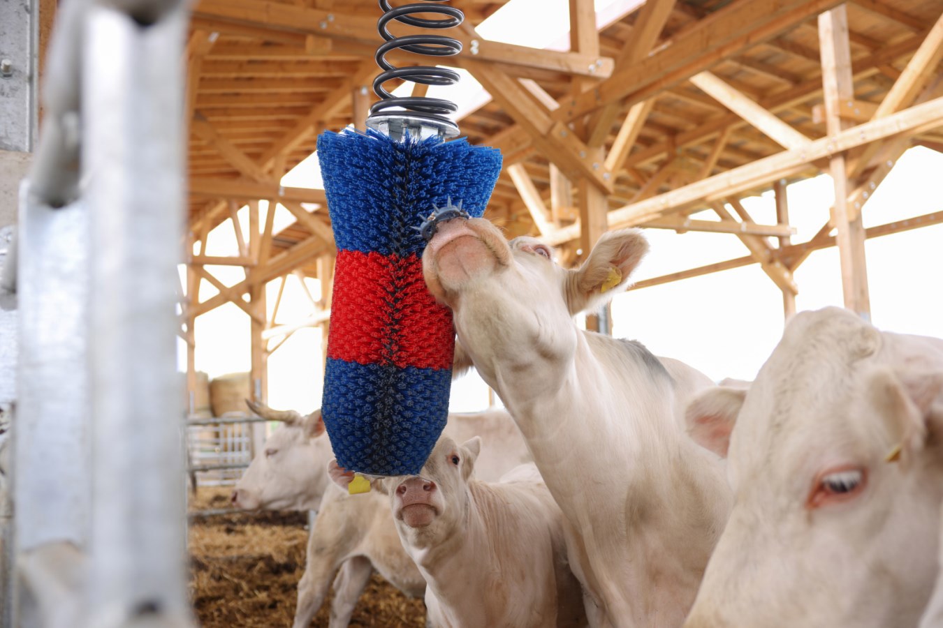 Brosse à bovins Happycow flexiswing