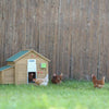 Ensemble porte poulet automatique 30x40cm