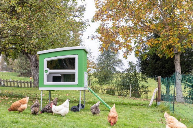 Poulailler en plastique Mobilecoop