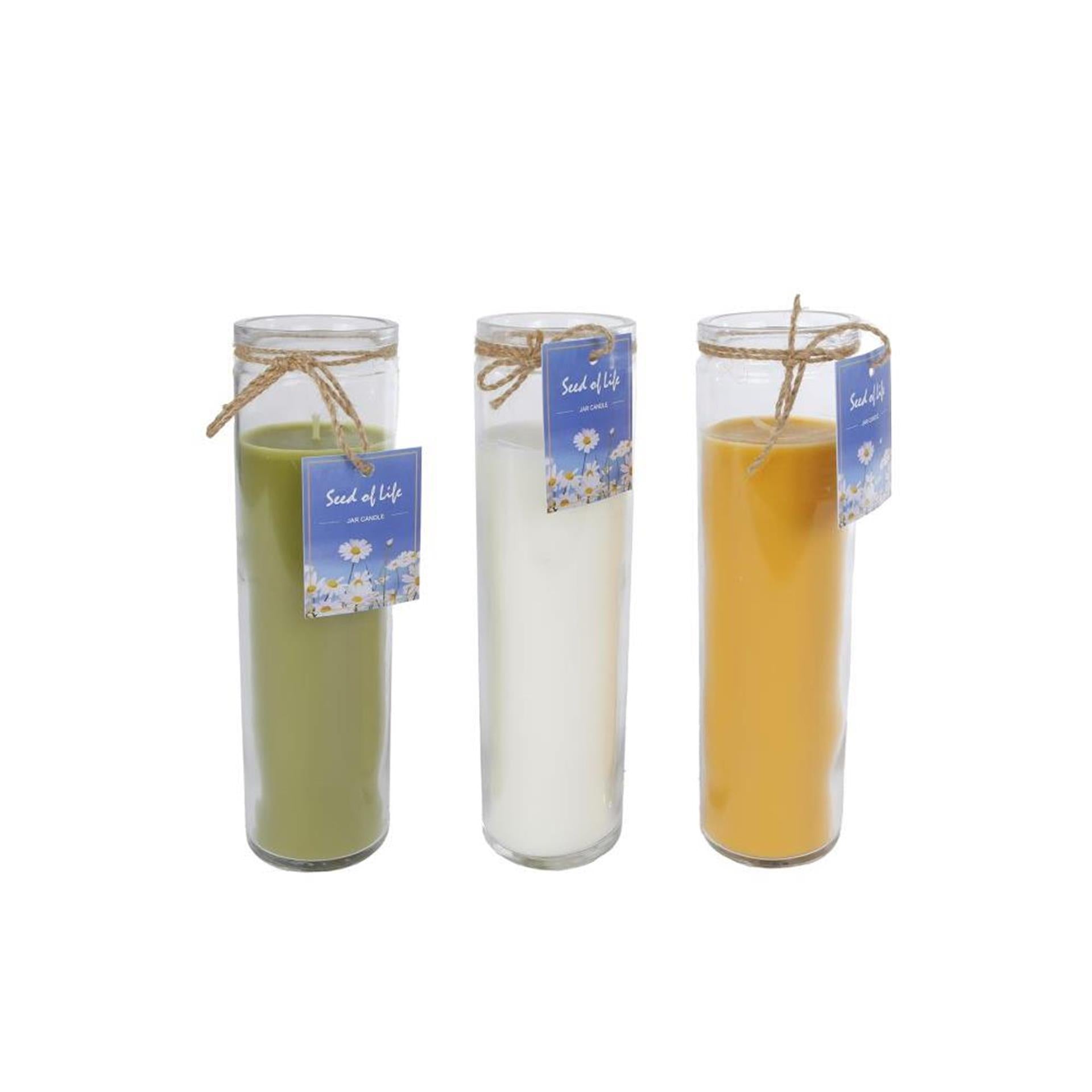 Bougie Cozydecor en verre graine de vie h21cm