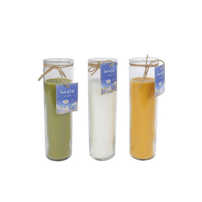 Bougie Cozydecor en verre graine de vie h21cm