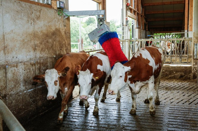 Brosse à vache Happycow maxiswing