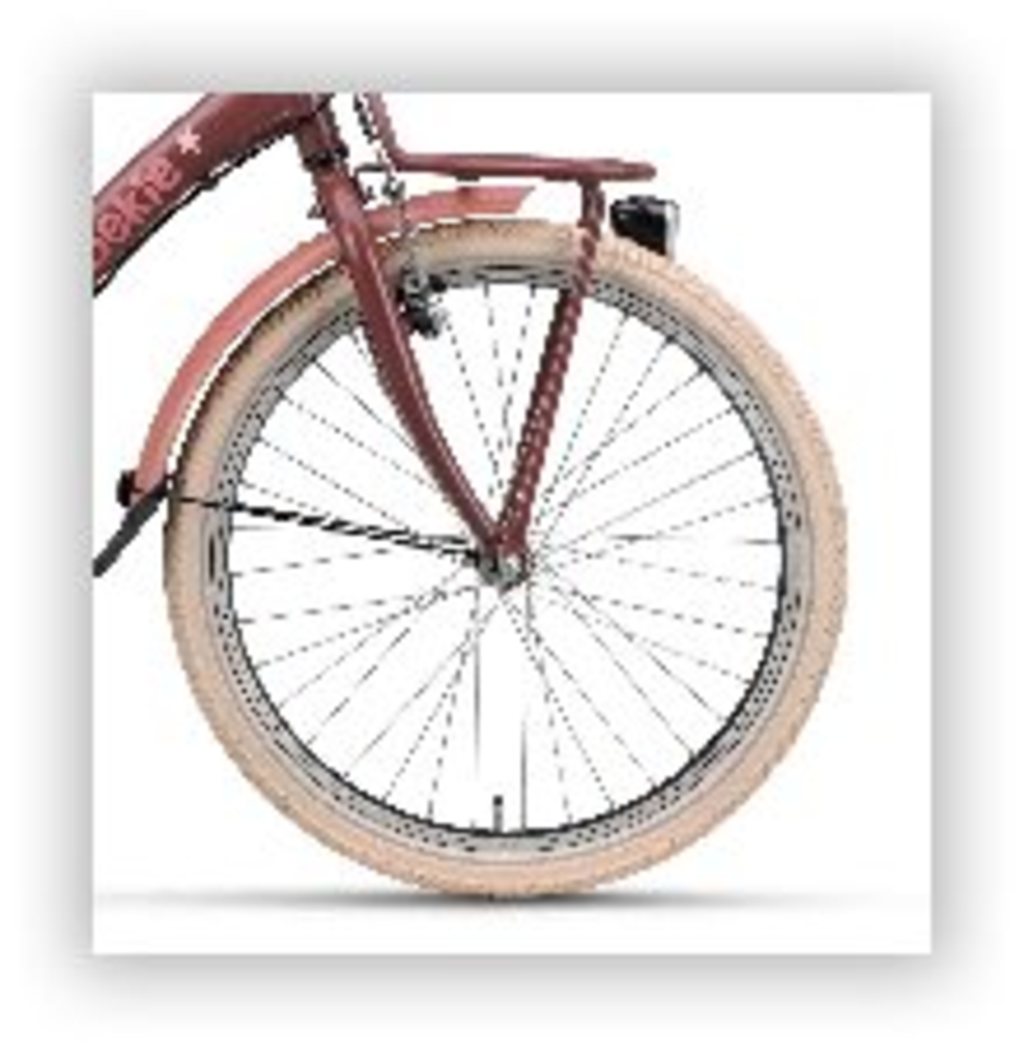 Roue avant Batavus 22 rayons jante_noire