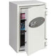 Coffre-fort pour données Phoenix Data Combi DS2502K blanc