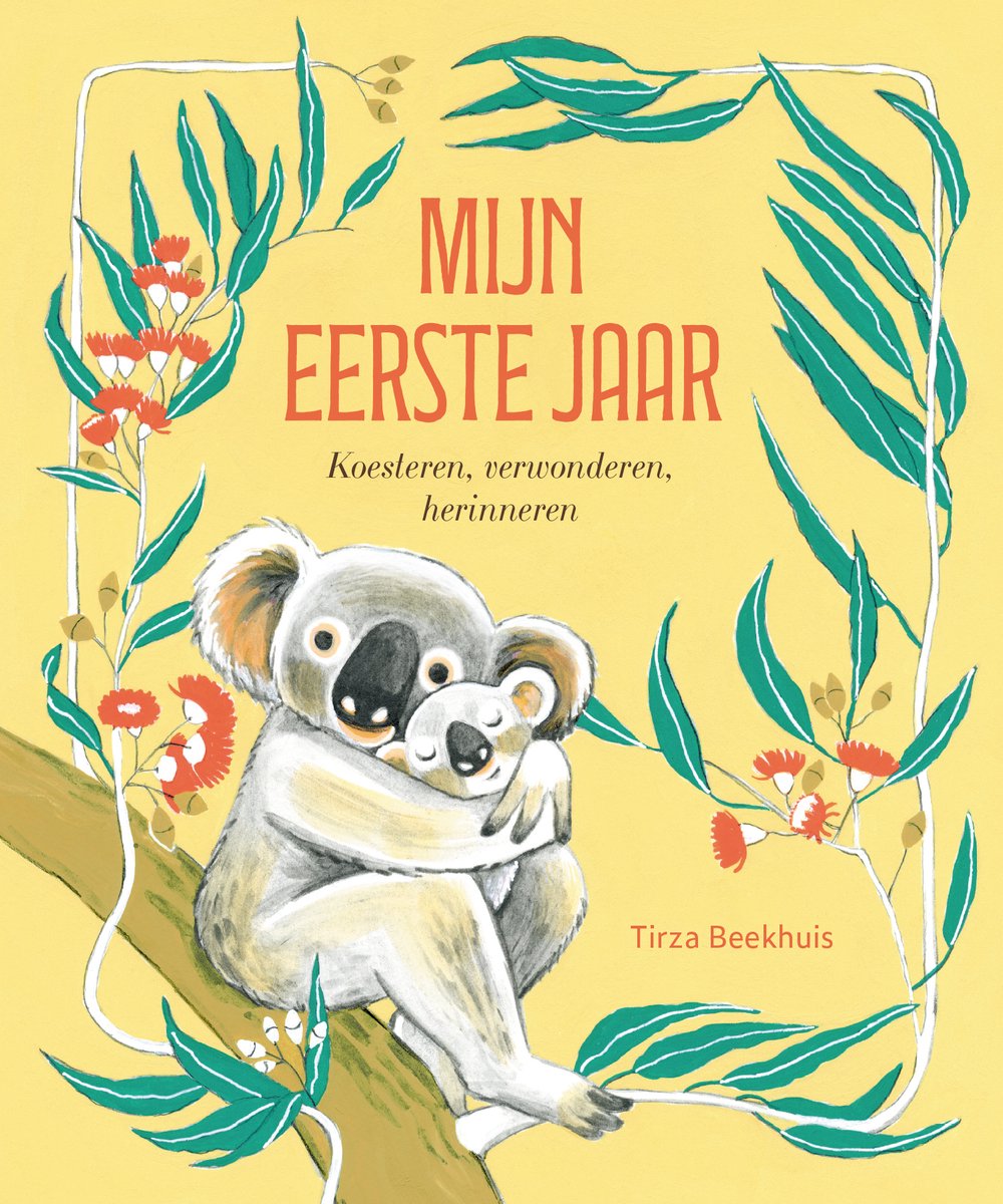 Tirza beekhuis ma première année