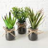 Boltze home sukkulente en pot ø10x17cm plante artificielle