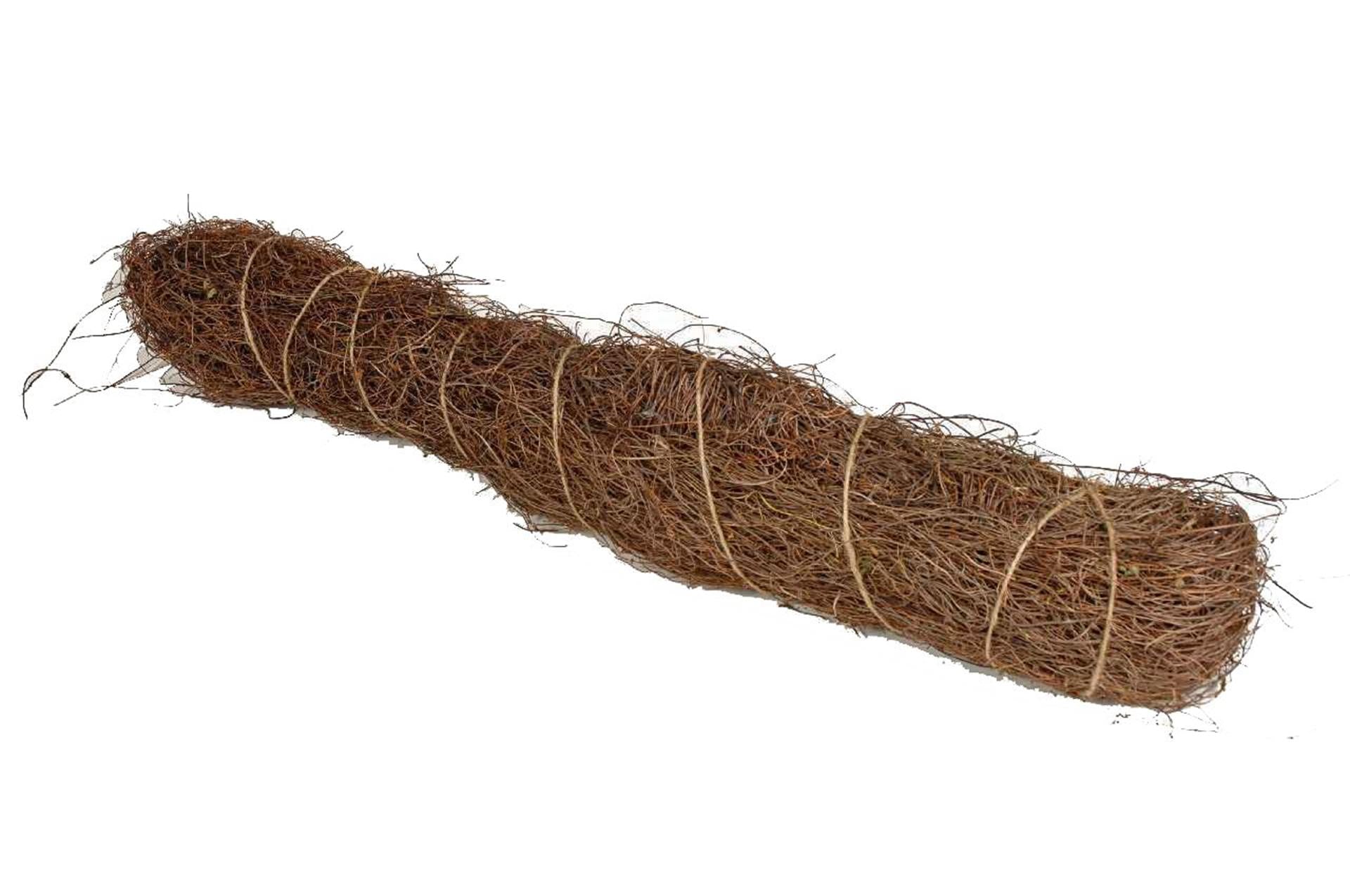 HBx salim vivant naturel 1kg l-80 marron