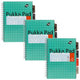 Bloc universitaire pukka métallisé b5 vert
