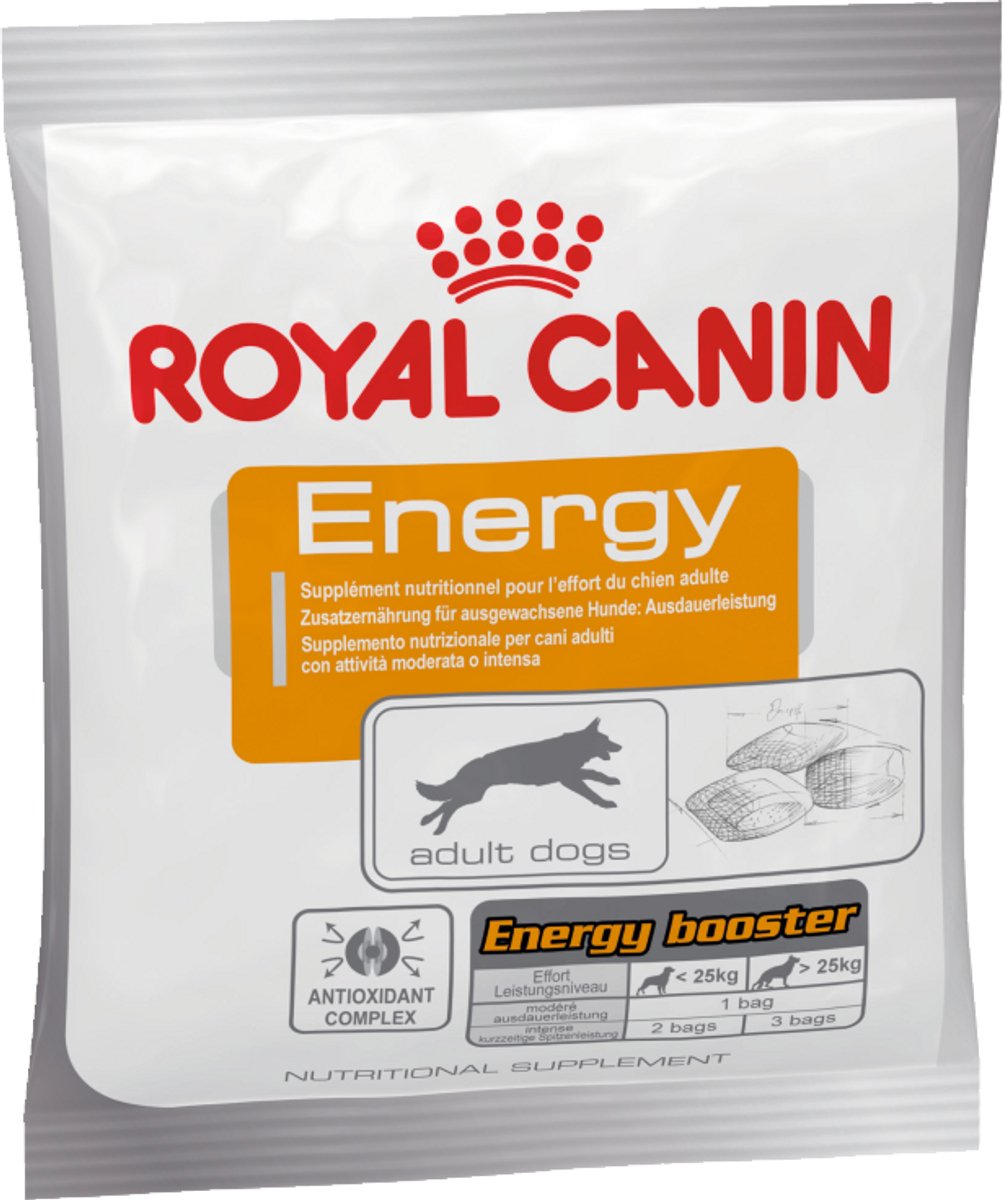 Canin royal