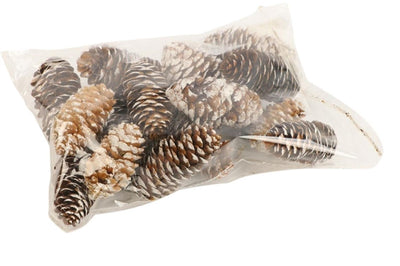 HBx set de décoration natural living pomme de pin épicéa 150gr