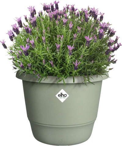 Elho amiga round 40 - pot de fleur pour intérieur extérieur - 100% plastique recyclé - ø 39,0 x h 29,3 cm - vert thym