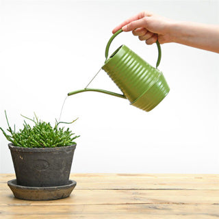 Design Esschert à l'intérieur des tons de légumes Gieter Assorti
