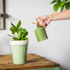 Esschert Design Plant Spray