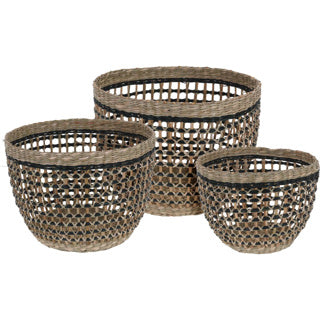 Paniers autour des herbiers set3