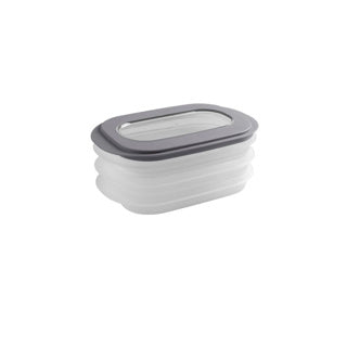 Sunware Sigma Home Vleetware Box transparent
