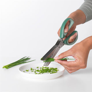 Brabantia brabantia savoureuse + ciseaux d'épices + kam sapin vert