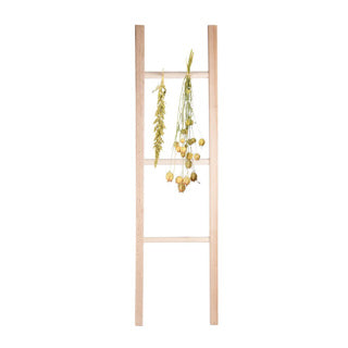 Fleurs et herbes à l'échelle sèche