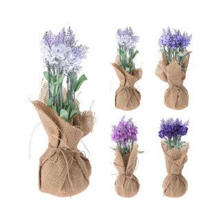 Plante de lavande en sac de jute