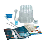 Clementoni Science Game Growing Triops - afbeelding 3
