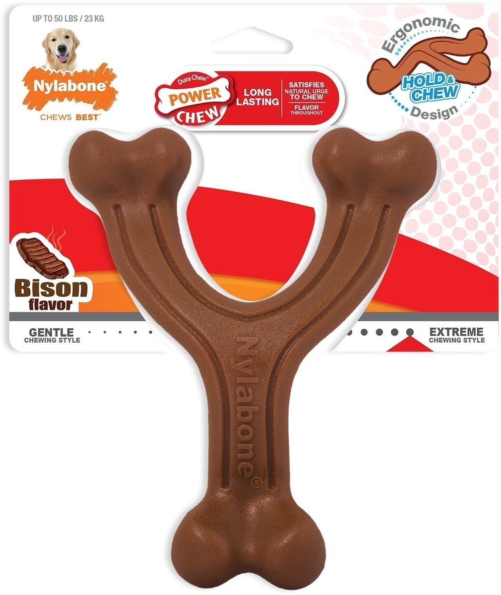 Nylabone Extreme Chew Wismbone Bison