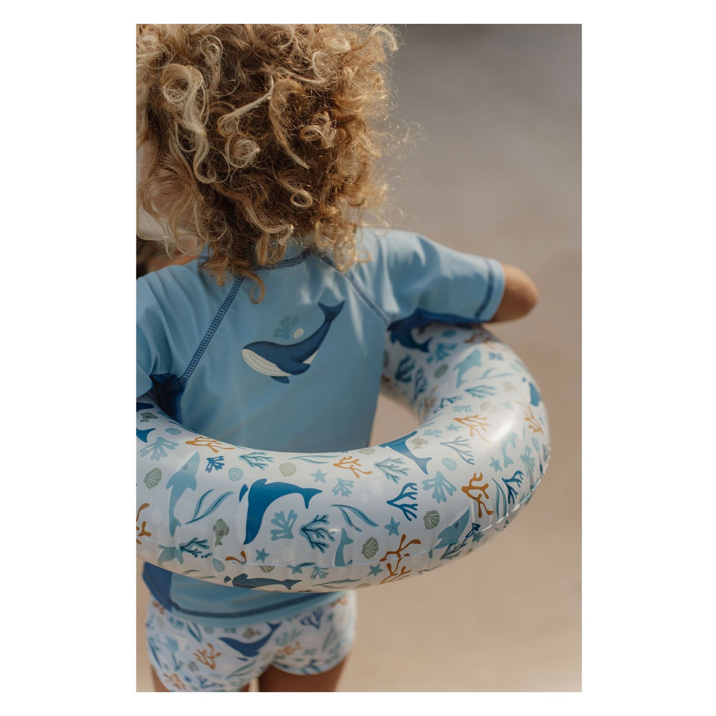 Petit océan néerlandais rêves de natation bleu, 50 cm