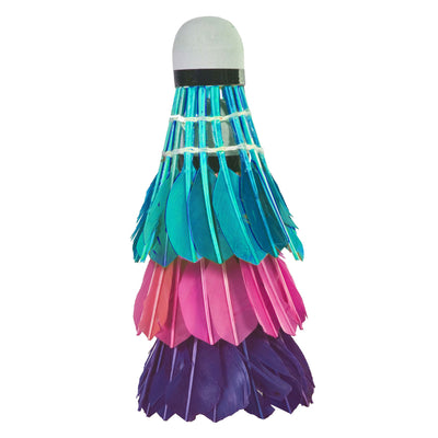 Sportx Feather Navettes dans le tube 3 pièces Verre Purple Green