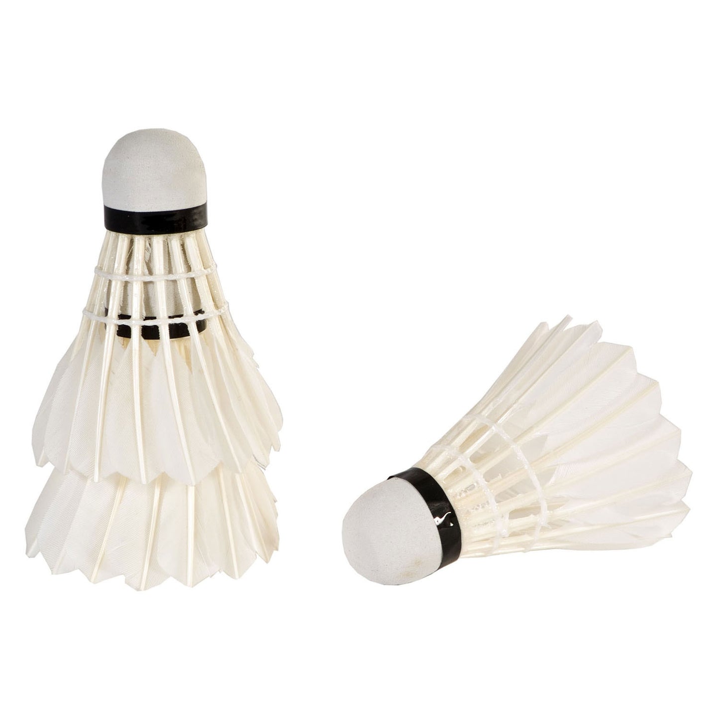 Faits de navette Sportx blanc dans le tube, 3e.