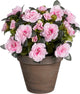 Plante artificielle Mica decorations - azalée - rose - en pot - 31 cm - fausses plantes