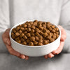 Smolke chien adulte grain - sans