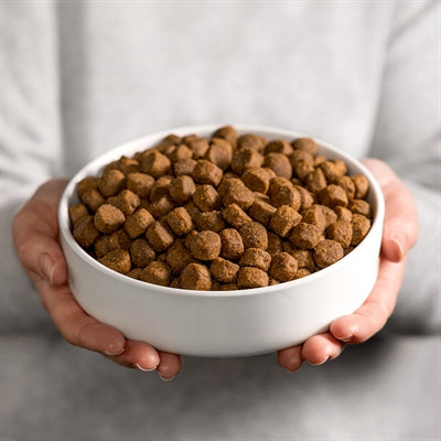 Smolke chien adulte grain - sans