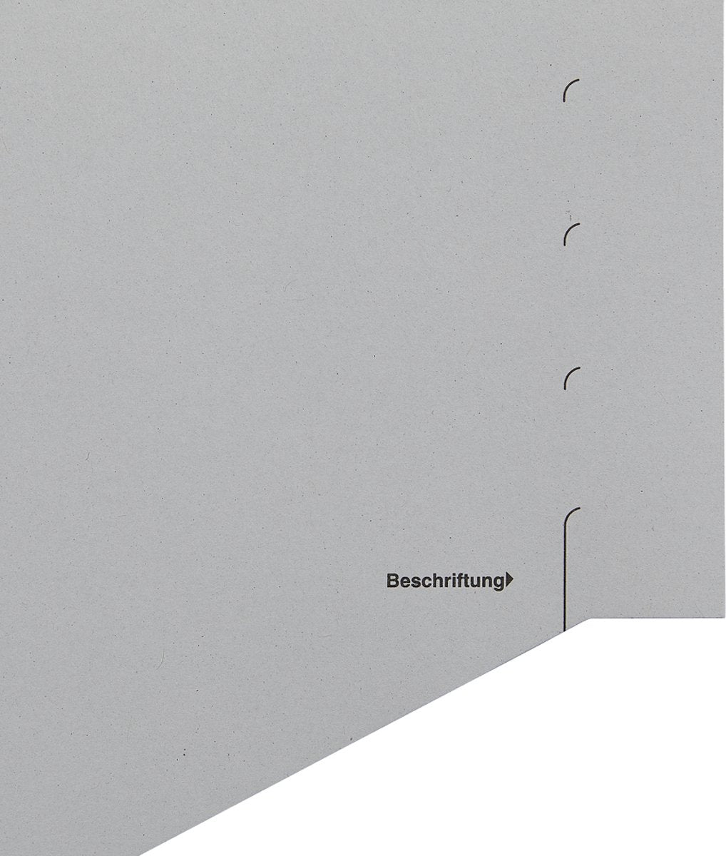 Leitz scheidingstabblad carton 100 pièces a4 11 anneaux gris