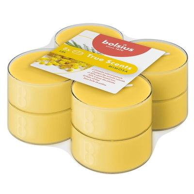 Maxilichten Clear Cup 8u True Scents Mimosa