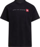 The north face m nse reg ss tee-graphic chemise d'extérieur pour hommes - noir tnf
