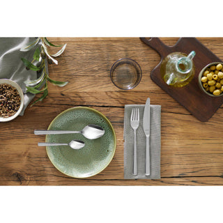 Amefa Cutlery Set 24DLG Phoenix recyclé