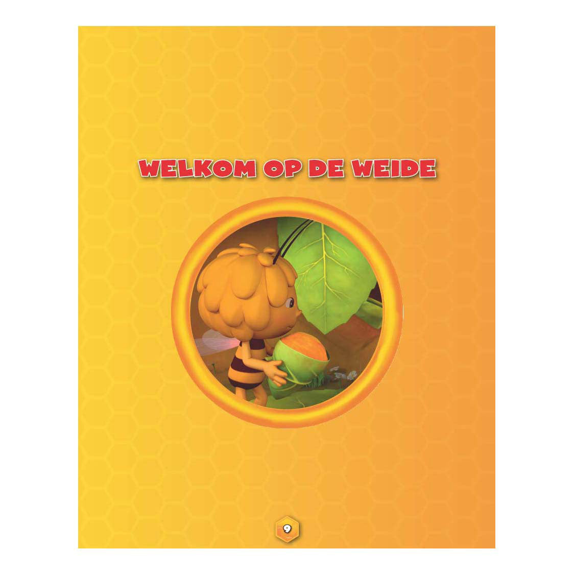 Studio 100 maya omnibus - fête