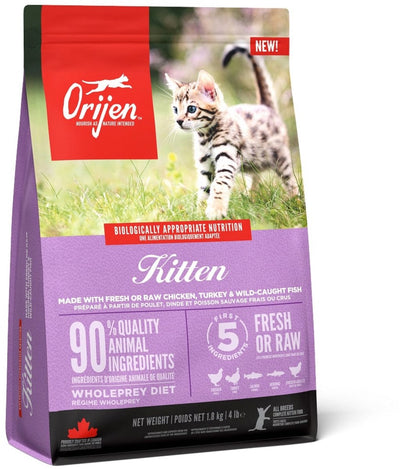 Chaton orijen