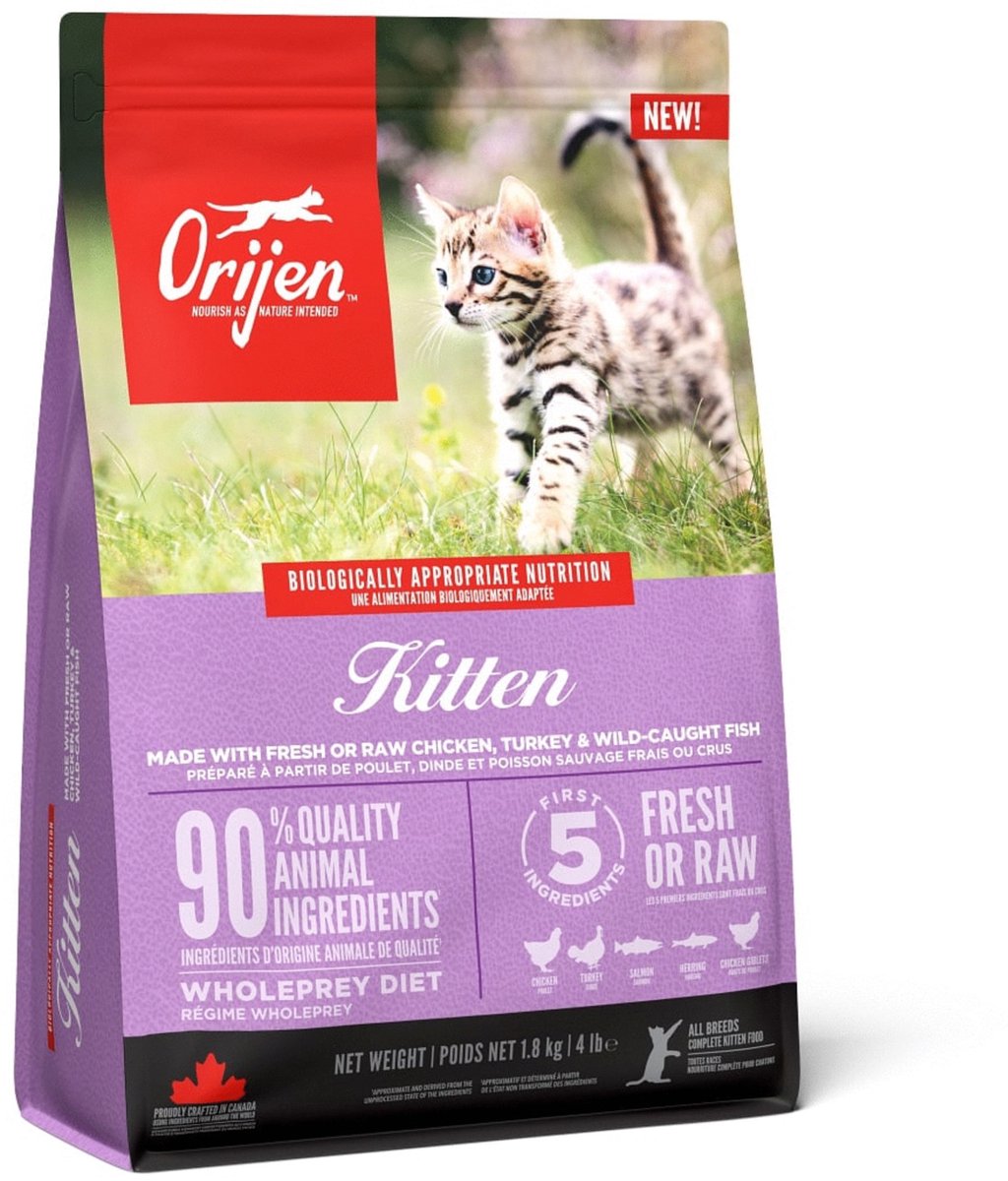 Chaton orijen