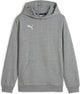 Puma teamgoal casuals hoody jr pull de sport pour garçons - gris moyen chiné-blanc