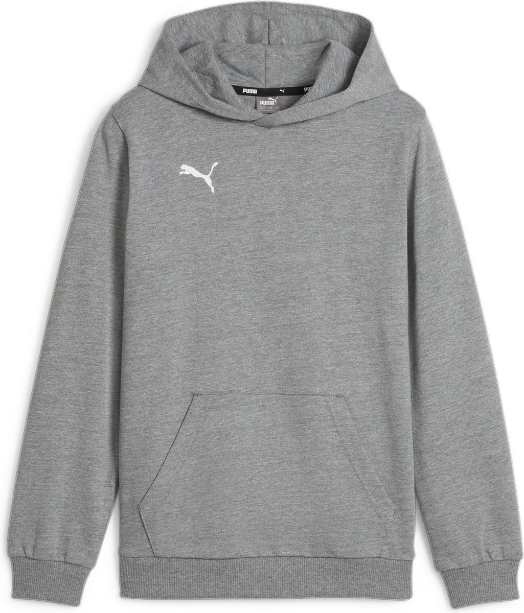 Puma teamgoal casuals hoody jr pull de sport pour garçons - gris moyen chiné-blanc