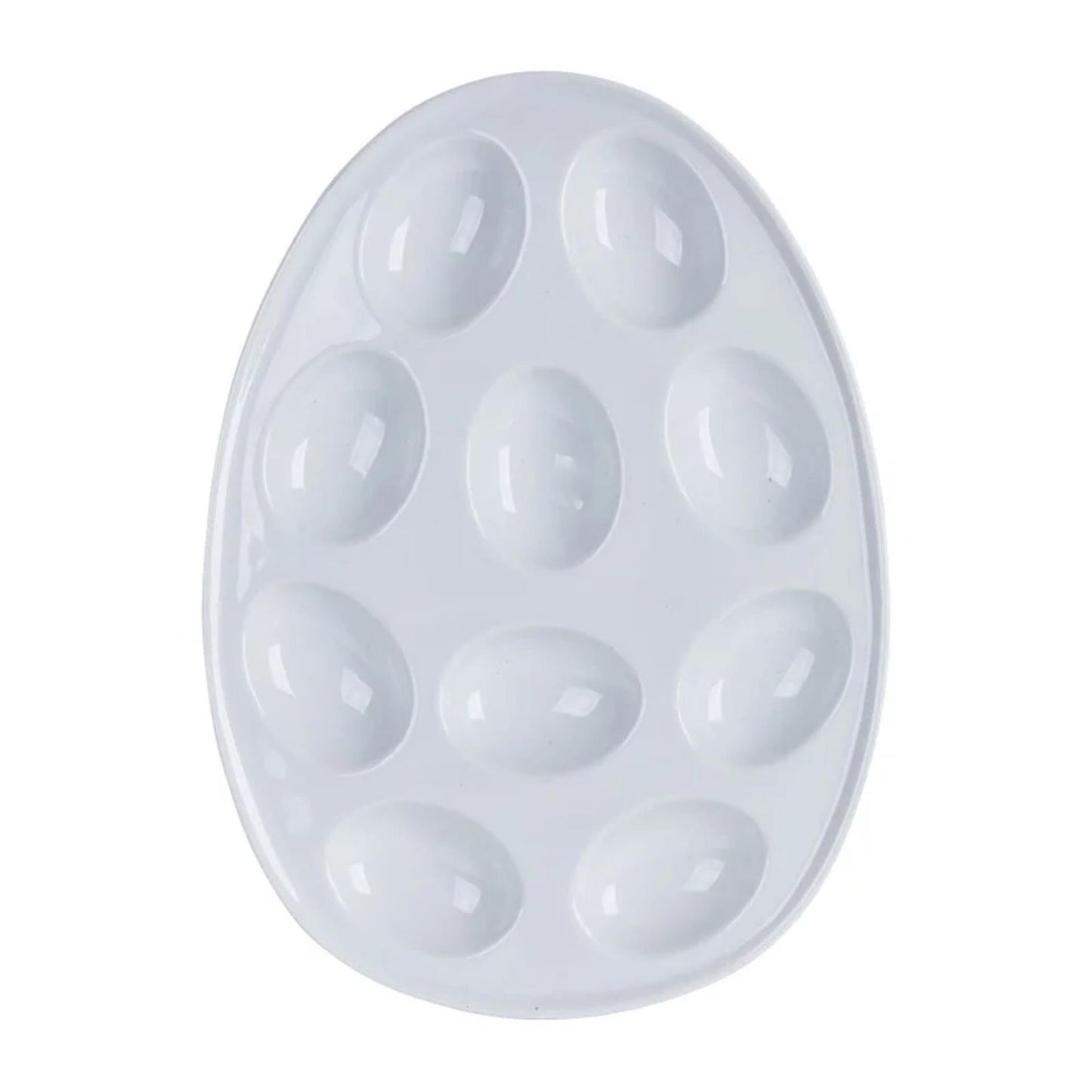 Coquille d'oeuf pour 10 œufs 26x19x2cm